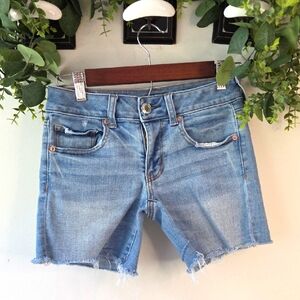 American Eagle Outfitters Blue Denim Shorts